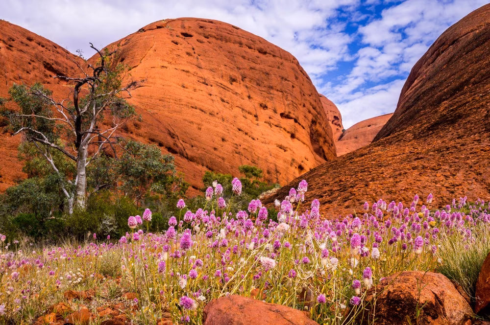 Australia Colors