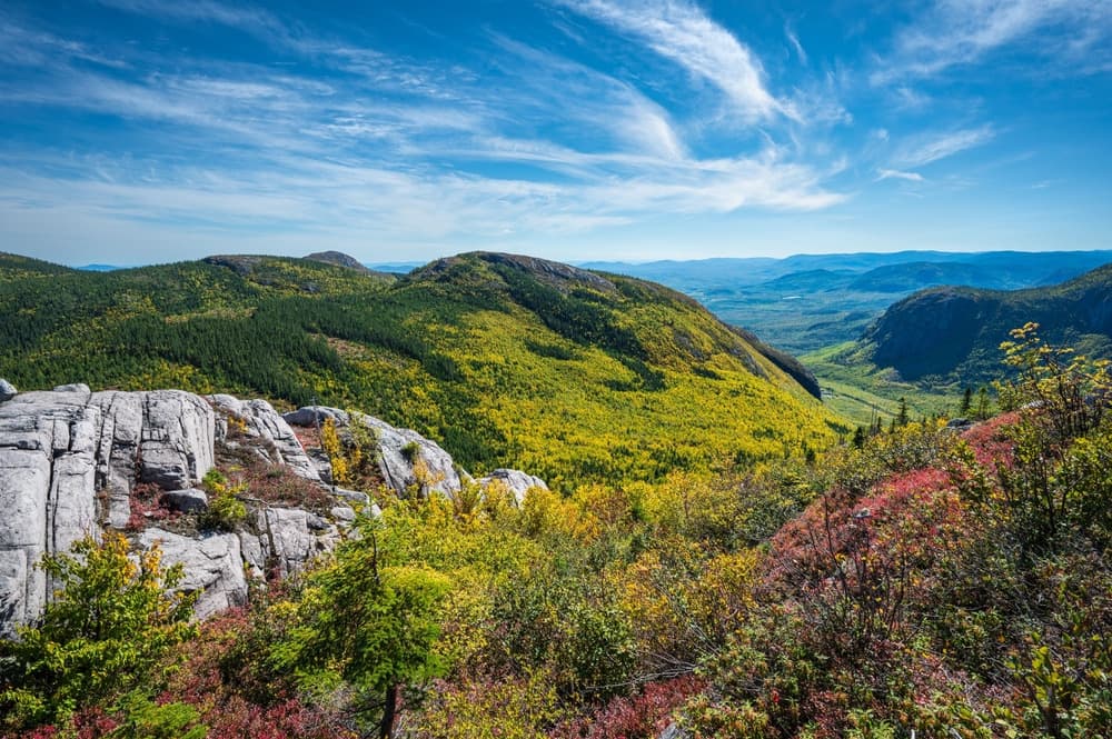 Grands-Jardins National Park