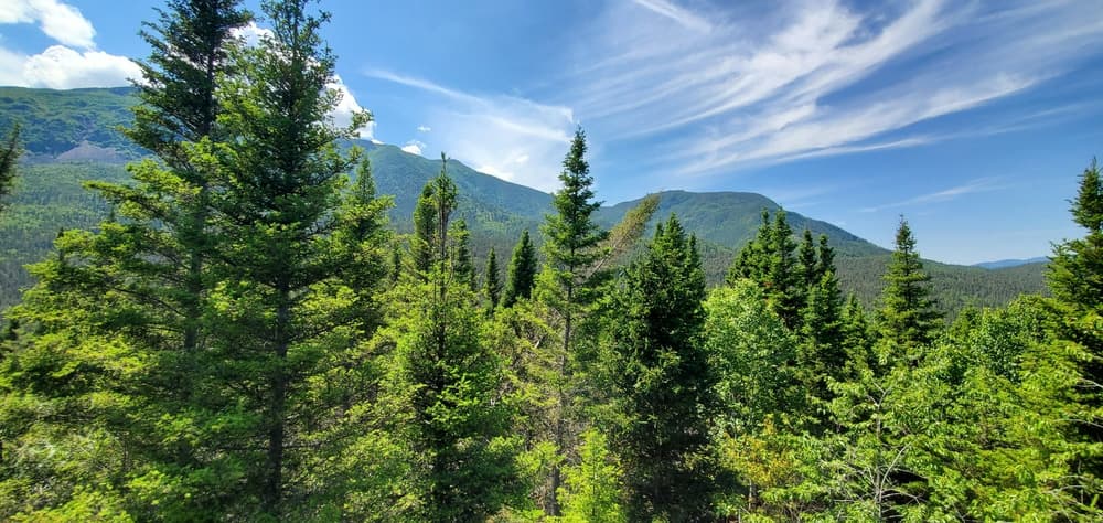 Gaspésie National Park