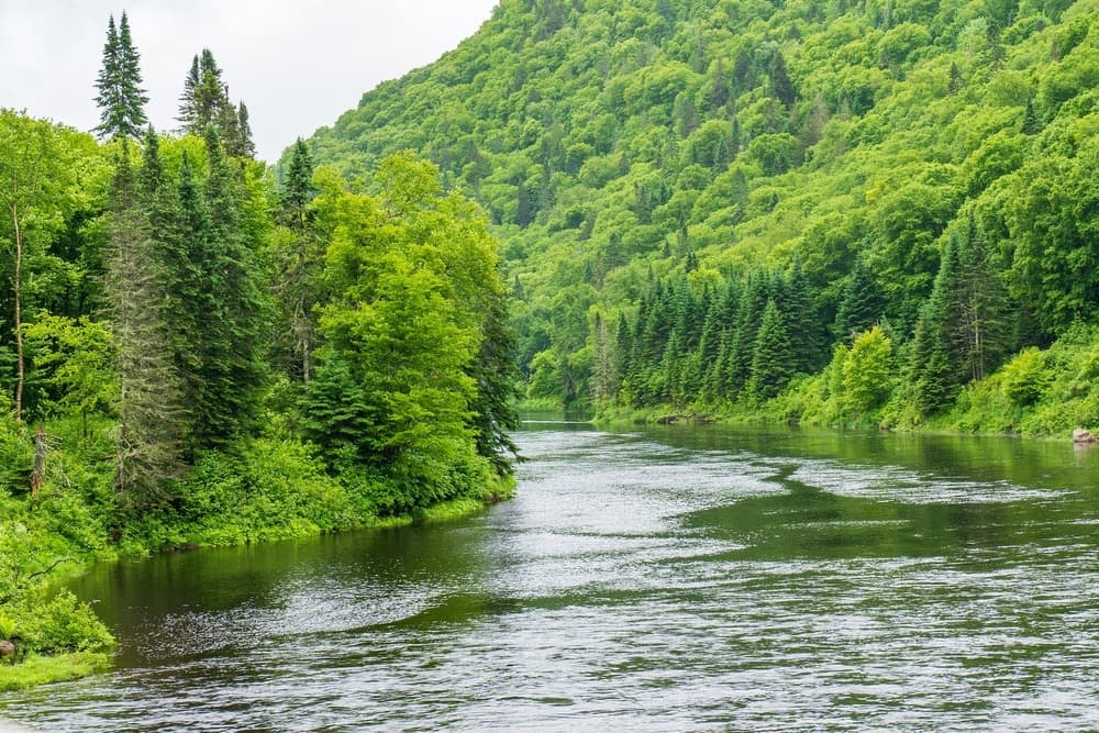 Jacques-Cartier National Park